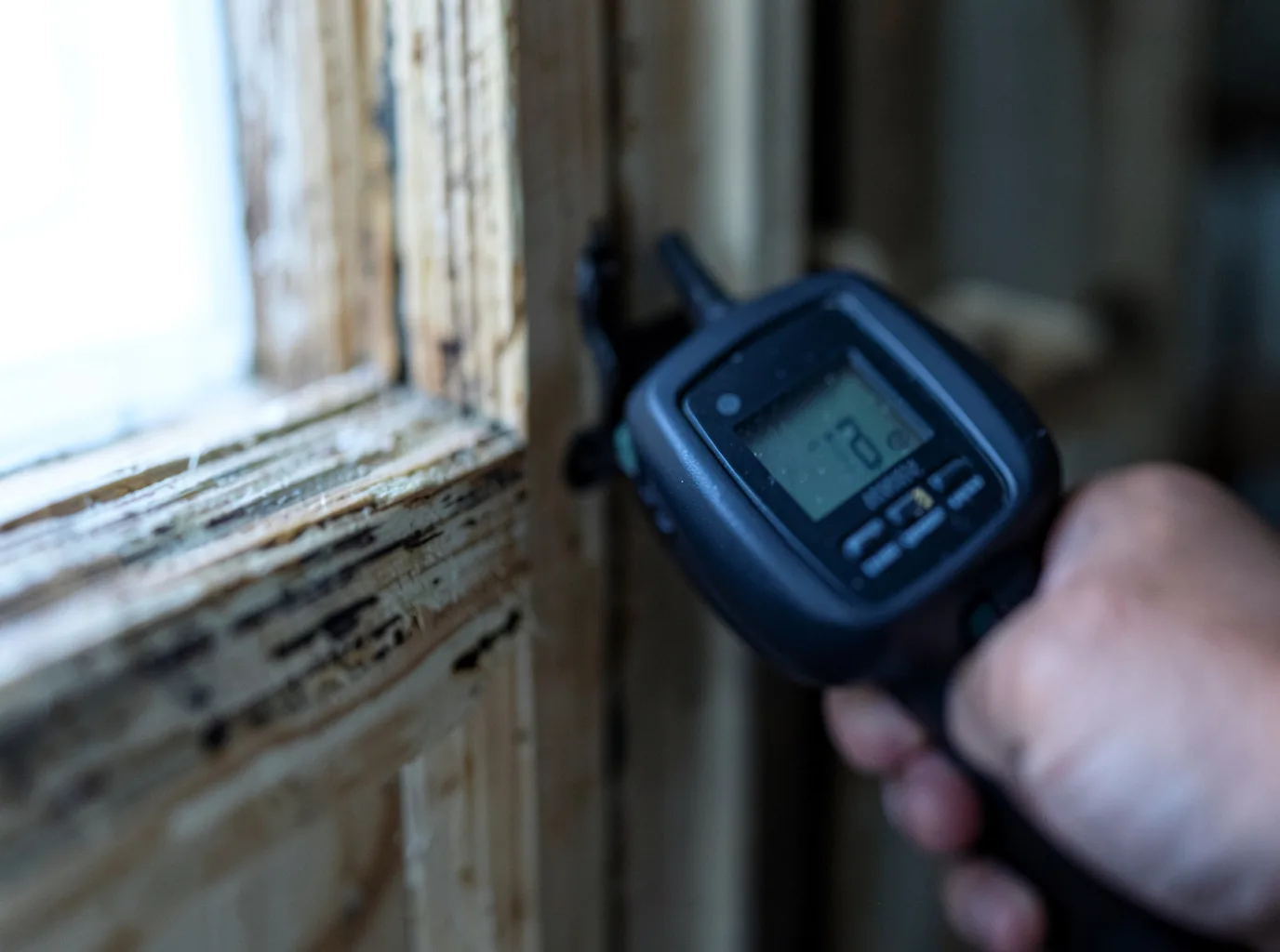 Moisture Inspection And Documentation in Chilo, OH